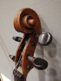 /album/violino-antico/whatsapp-image-2024-12-09-at-19-02-15-jpeg/